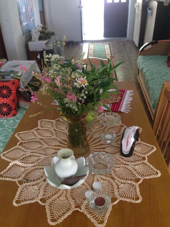 Eco Garten Guest House Σκόδρα Εξωτερικό φωτογραφία