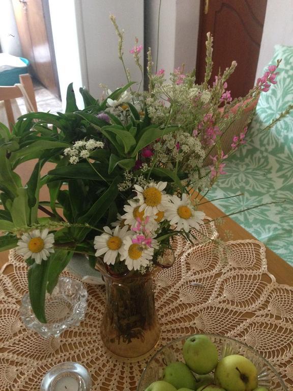 Eco Garten Guest House Σκόδρα Εξωτερικό φωτογραφία