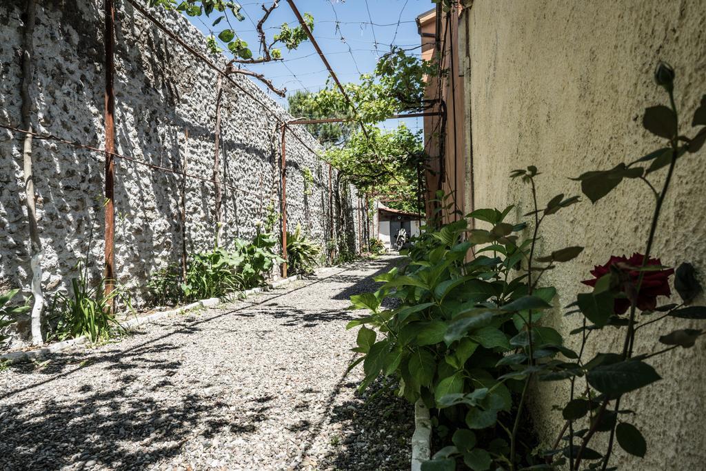 Eco Garten Guest House Σκόδρα Εξωτερικό φωτογραφία