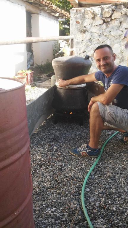 Eco Garten Guest House Σκόδρα Εξωτερικό φωτογραφία