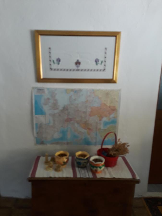 Eco Garten Guest House Σκόδρα Εξωτερικό φωτογραφία